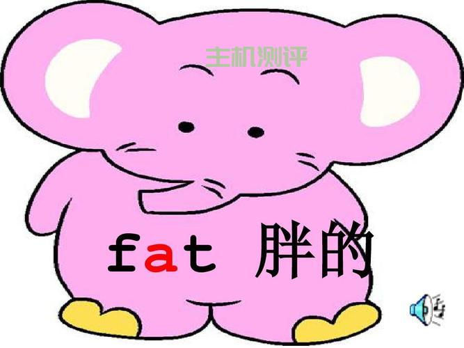 fat英文名怎麽讀？