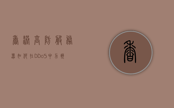 香港高防服务器如何在DDoS中力挽狂澜